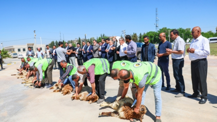 Başkan Özyavuz Şanlıurfaspor'un Yeni Yonetimini Kurbanlar Keserek Karşıladı