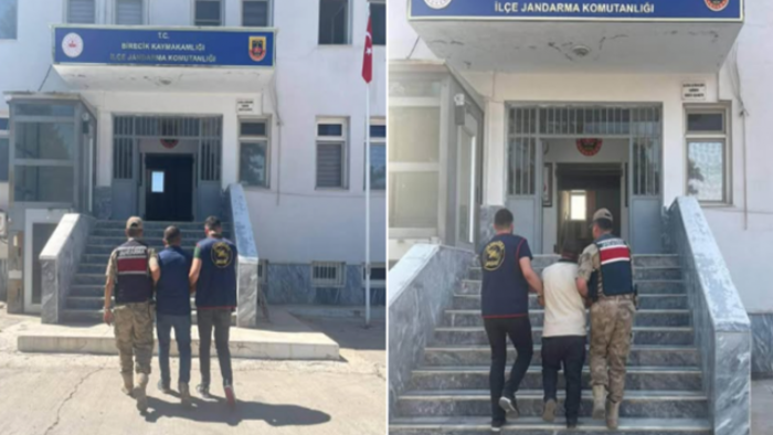 Şanlıurfa'da Aranan Şahıslara Darbe! Jandarma Operasyonu Sonuç Verdi