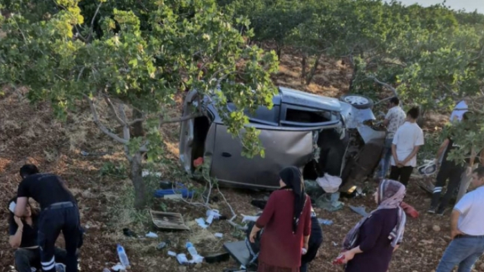 Şanlıurfa'da Araç Fıstık Tarlasına Devrildi, 3 Kadın Yaralandı