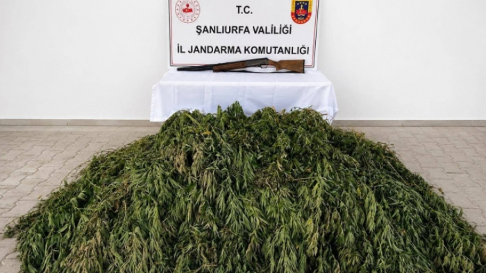 Şanlıurfa Jandarmasından Uyuşturucuya Geçit Yok