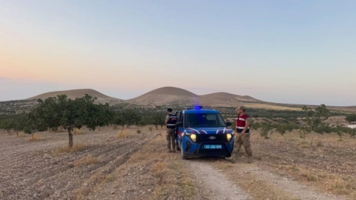 Jandarmadan Fıstık Sezonunda Gece Gündüz Güvenlik Mesaisi