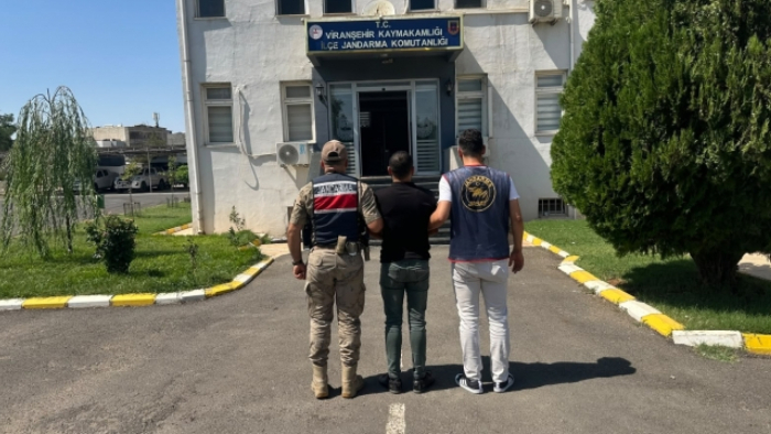 Şanlıurfa'da Aranan İki Firari Hükümlü Jandarmadan Kaçamadı