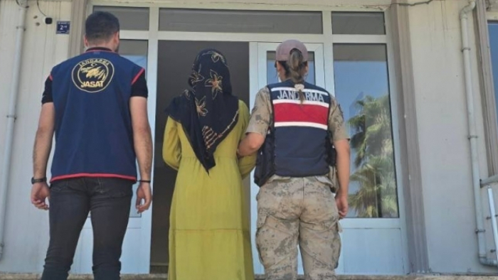 Harran'da Jandarmadan Başarılı Operasyon! Aranan Şahıs Ele Geçirildi