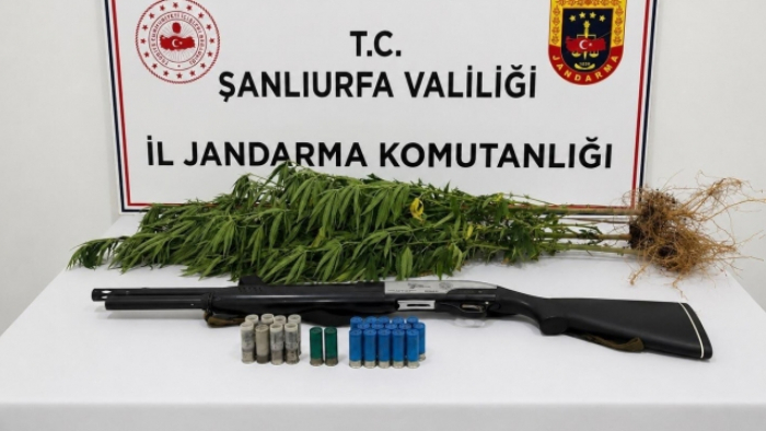 Jandarma Şanlıurfa'da Baskın Düzenledi! Ele Geçirilenler Dikkat Çekti