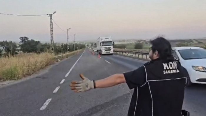 Şanlıurfa'da 75 Bin Paket Kaçak Sigara Ele Geçirildi, 1 Kişi Tutuklandı